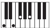 CASIO PX-300 - PREPARATIFS - 10