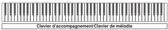 CASIO PX-300 - Clavier d'accompagnement et clavier de melodie FULL RANGE CHORD - 1