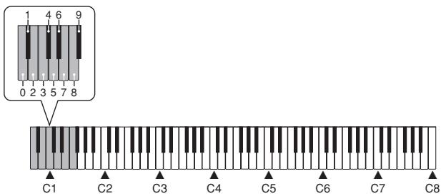 CASIO PX-300 - Jouer un morceau intégré - 4
