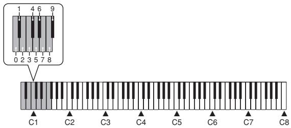 CASIO PX-300 - REMARQUE - 1