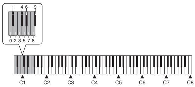CASIO PX-300 - REMARQUE - 2