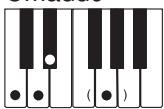 CASIO WK-3100 - REMARQUE - 13