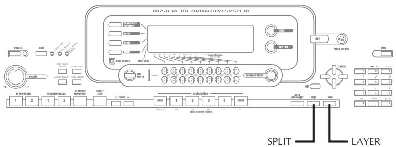 MUSICAL INFORMATION SYSTEM SPLIT LAYER