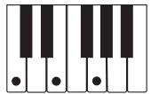 CASIO WK-3100 - REMARQUE - 1