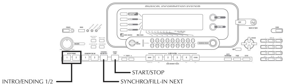 MUSICAL INFORMATION SYSTEM INTRO/ENDING 1/2 START/STOP SYNCHRO/FILL-IN NEXT