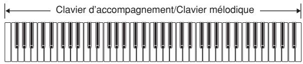 Clavier d'accompagnement/Clavier mélodique