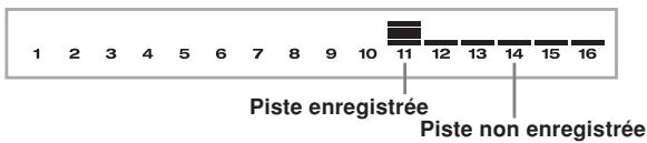 Piste enregistrée Piste non enregistrée