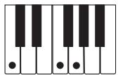 CASIO WK-3100 - REMARQUE - 5
