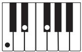 CASIO WK-3100 - REMARQUE - 3