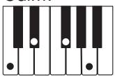 CASIO WK-3100 - REMARQUE - 15