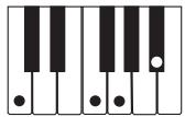 CASIO WK-3100 - REMARQUE - 11