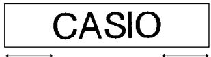 CASIO KL-C500 - LEADING MARGIN - 2