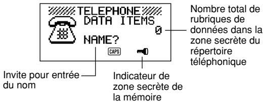 CASIO SF-4900ER - Création d'une zone de mémoire secrète - 2