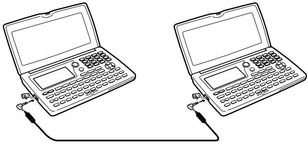 CASIO SF-4900ER - Important! - 1