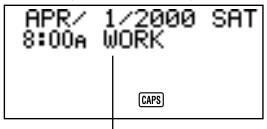CASIO SF-4900ER - Données de l'agenda et écrans initiaux... - 2