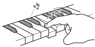 CASIO CTK-3000 - La souplesse d'un pianoacoustique - 2