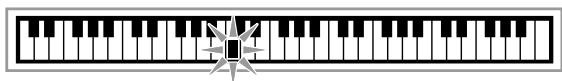 CASIO CTK-3000 - Appuyez sur 22. - 1