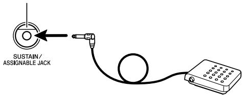 CASIO WK-200 - Raccordement d'un bloc pédale - 1