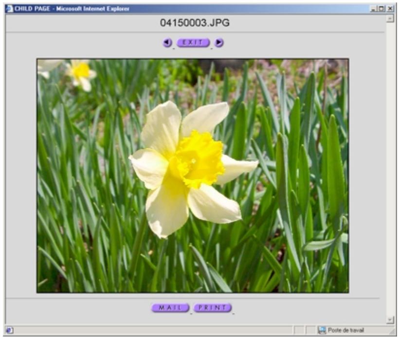 CASIO PHOTOHANDS - ■ Démarrage de Photohands à partir de l’écran de visionnement d’image de Photo Loader - 1