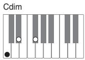 CASIO PX-200 - IMPORTANT! - 3