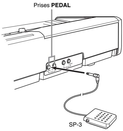 CASIO PX-200 - Raccordement à la prise PEDAL - 1