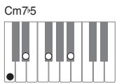 CASIO PX-200 - IMPORTANT! - 9