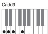 CASIO PX-200 - IMPORTANT! - 12