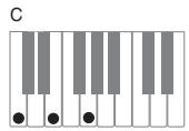 CASIO PX-200 - IMPORTANT! - 1