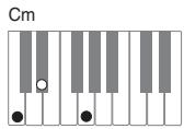 CASIO PX-200 - IMPORTANT! - 2