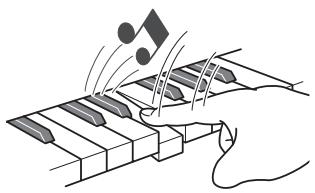 CASIO WK-210 - La souplesse d'un piano acoustique - 1