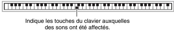 CASIO WK-210 - Édition dessons échantillonnés d'un ensemble de batterie - 2
