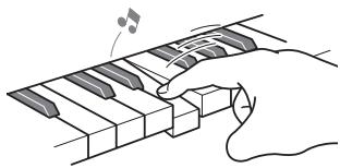 CASIO WK-210 - La souplesse d'un piano acoustique - 2