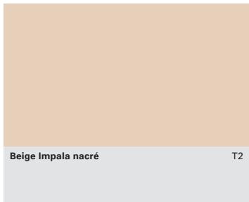 AUDI A8 W12 - Peintures - 11