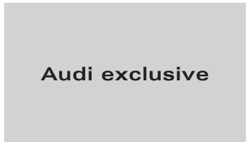 AUDI A8 W12 - Peintures - 6