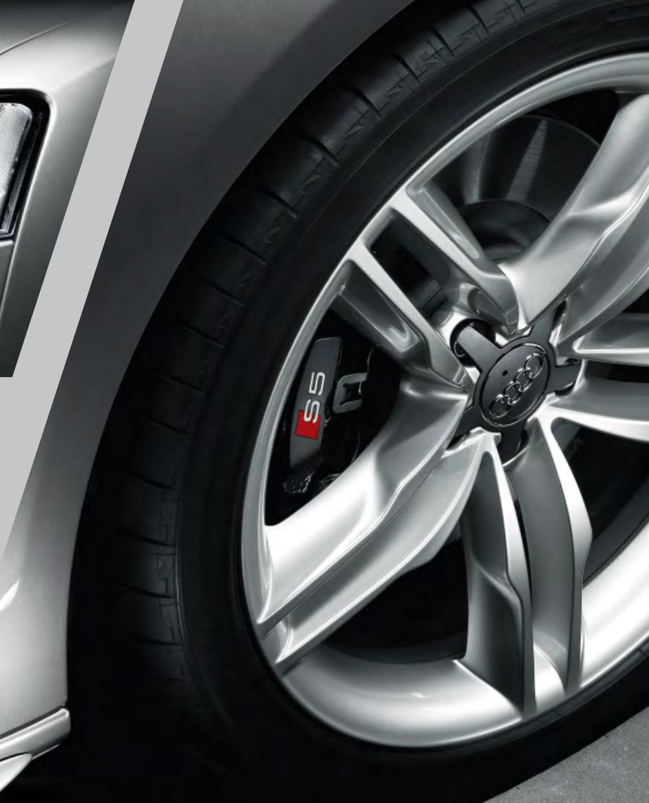 AUDI S5 - 19