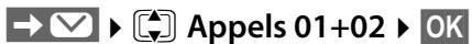GIGASET E310, E310A, E310H - Rappel de l'appelant depuis le journal des appels - 1