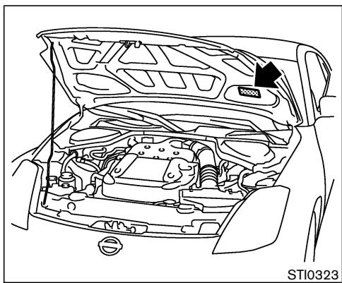 NISSAN 350Z 2005 - NUMERO D'IDENTIFICATION DU VEHICULE (numéro de chassis) - 3