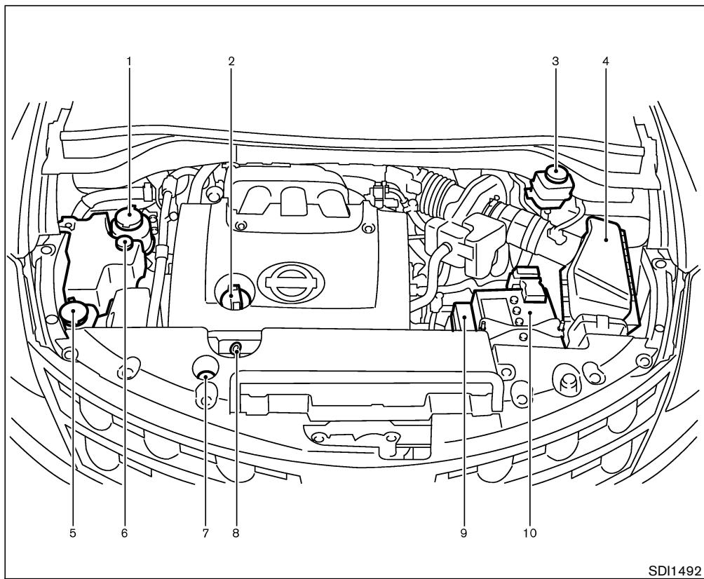 NISSAN MURANO 2004 - POINTS DE VÉRIFICATION DANS LE COMPARTIMENT-MOTEUR - 1