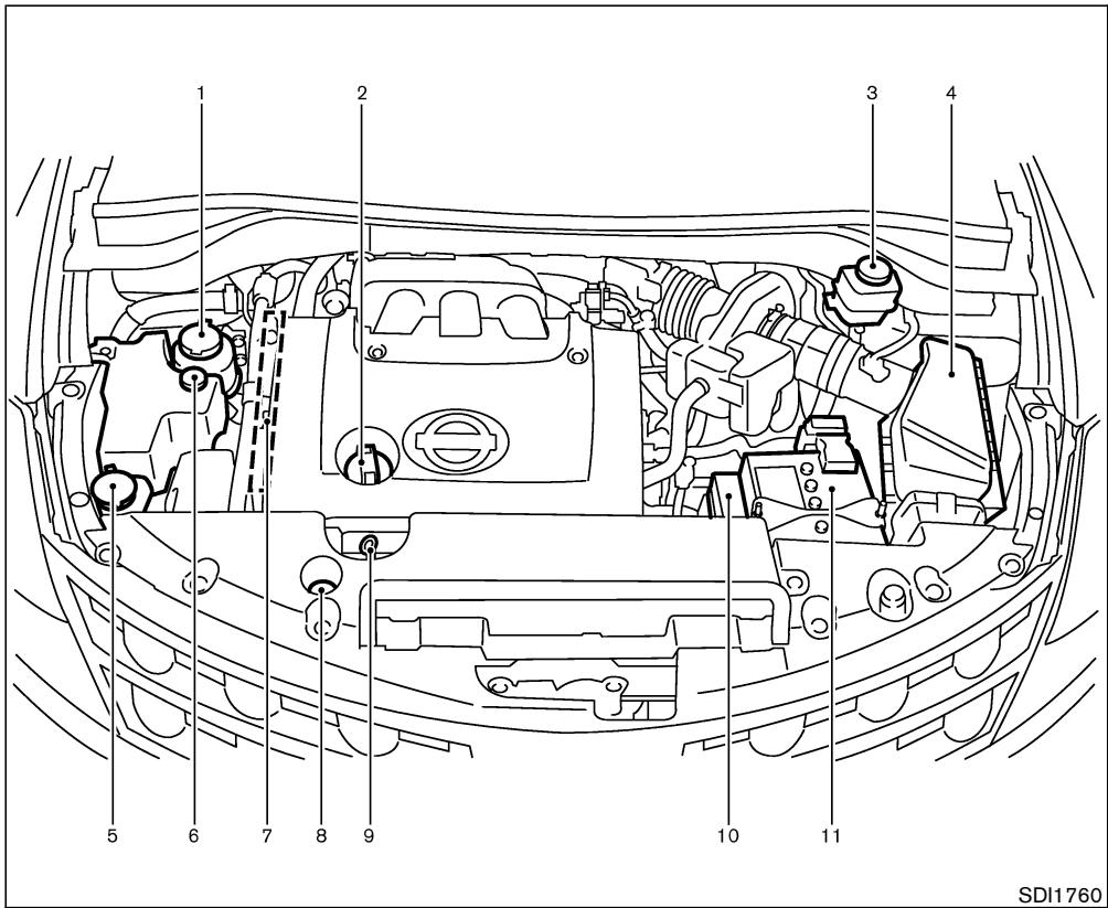 NISSAN MURANO 2006 - POINTS DE VÉRIFICATION DANS LE COMPARTIMENT-MOTEUR - 1