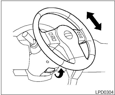 NISSAN PATHFINDER 2005 - MISE EN GARDE - 1