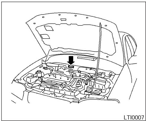 NISSAN SENTRA 2004 - PLAQUE DU NUMERO D'IDENTIFICATION DU VEHICULE (NIV) - 1
