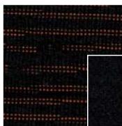 NISSAN NOTE - >>SELLERIE - 3