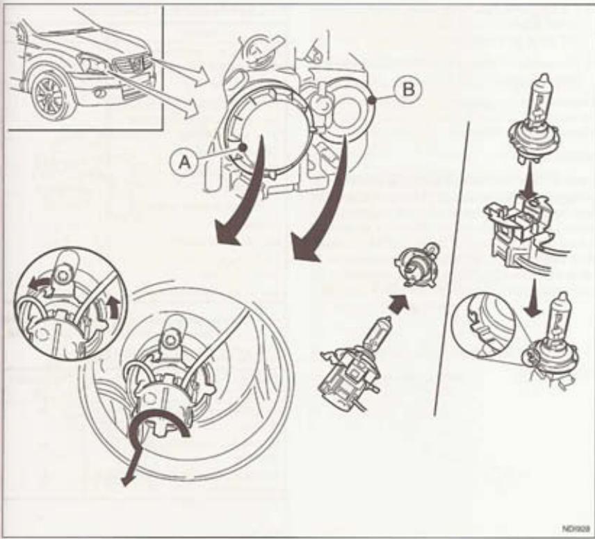NISSAN QASHQAI+2 - AMPOULES - 1