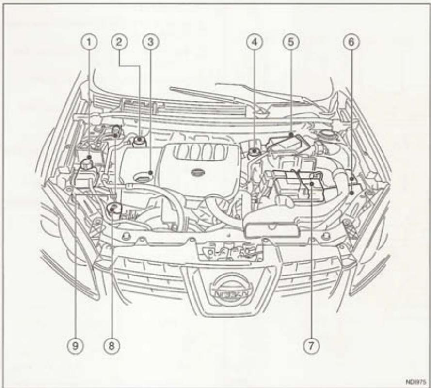 NISSAN QASHQAI+2 - INSTRUMENTS ET JAUGES - 5