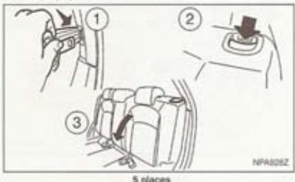 NISSAN QASHQAI+2 - Support lombaire (siège conducteur — selon modèles) : - 1