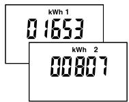DELTA DORE PACK LABEL PERFORMANCE - Affichage de la consommation en kWh - 5