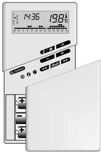 DELTA DORE EURO TYBOX 2P+ - Guide d'utilisation - 1