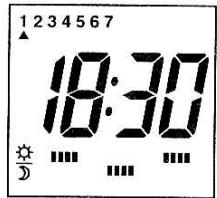 DELTA DORE DELTIA 6.33 - Automatique - 1