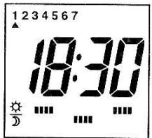 DELTA DORE DELTIA 6.33 - Modifier temporairement la programmation - 1