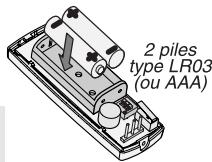 DELTA DORE COBX - Mise en place ou changement des piles - 1